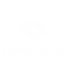 logo ticketswap